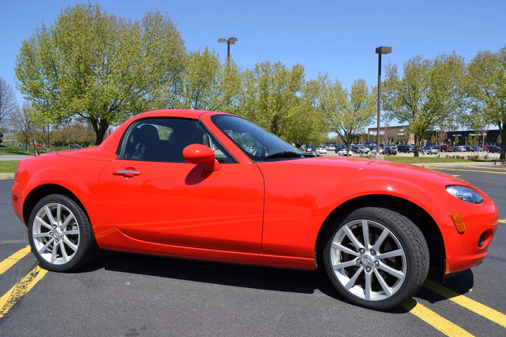 DSC_2722 (Large).webp