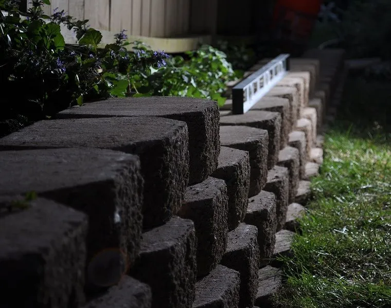 DSC_8081crop.webp