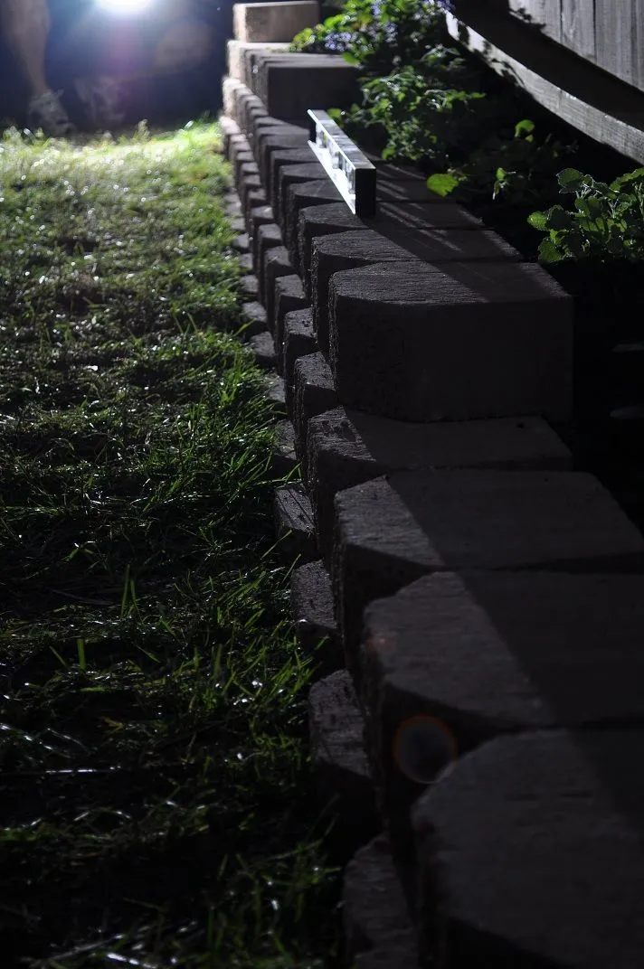 DSC_8088resize.webp