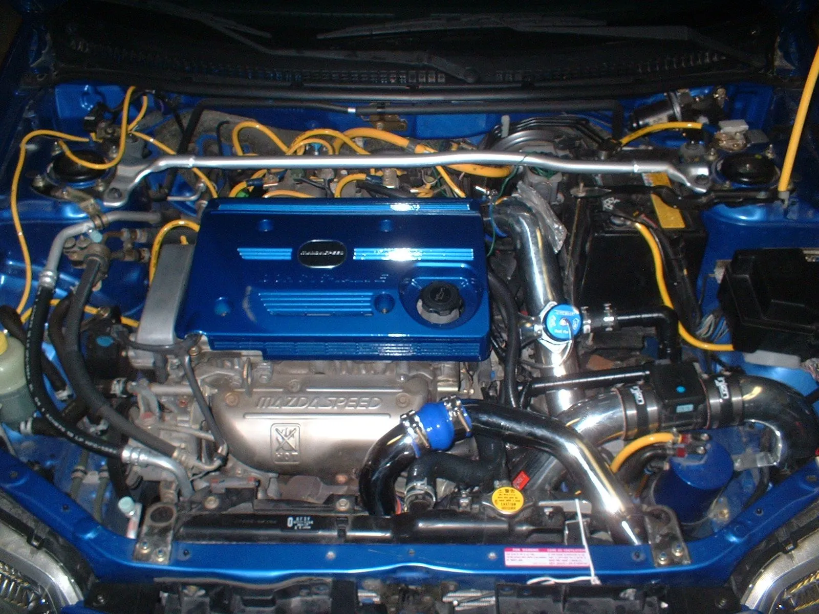 DSCF0003.JPG