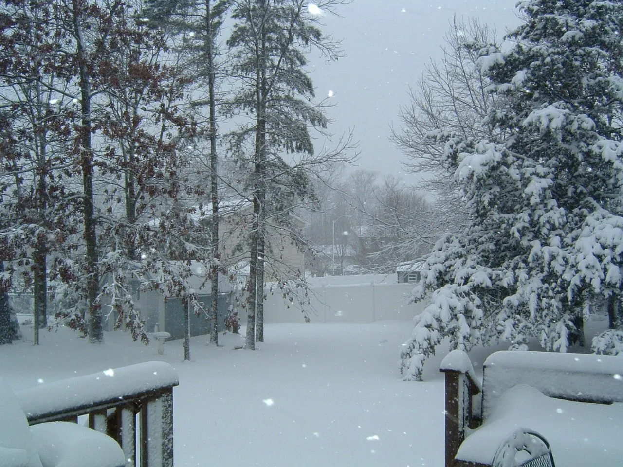 dscf0004.webp