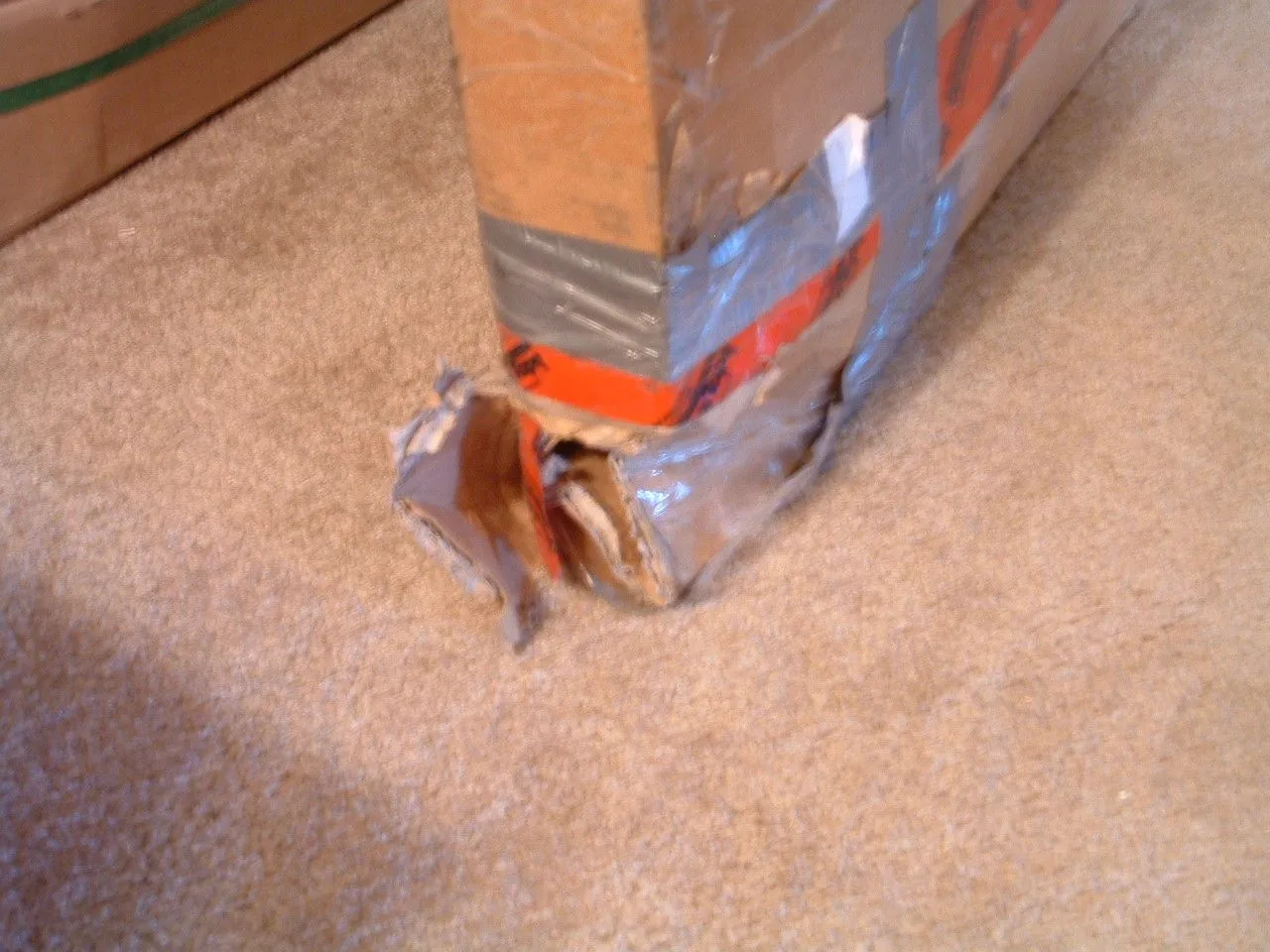 DSCF0008.webp
