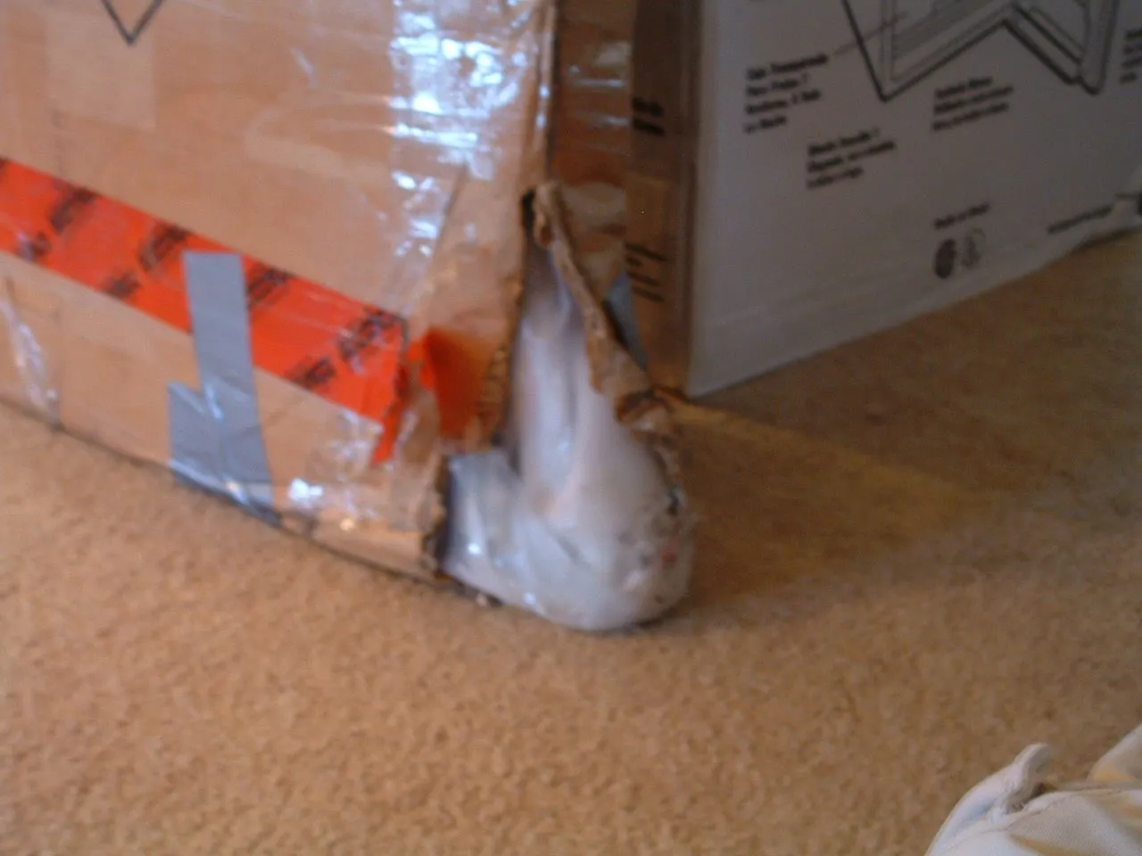 DSCF0010.webp
