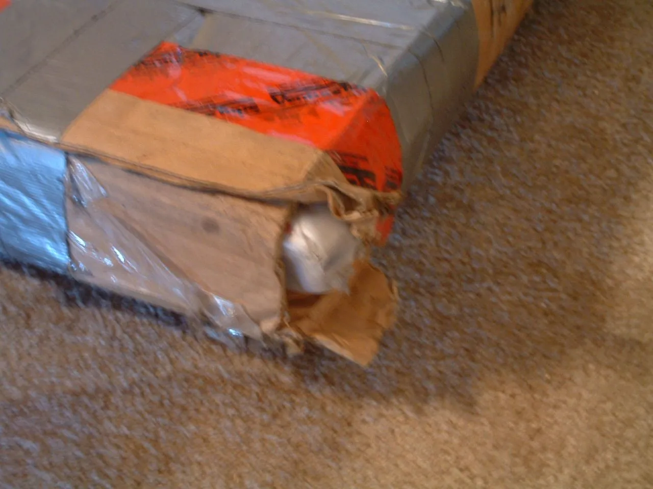 DSCF0012.webp
