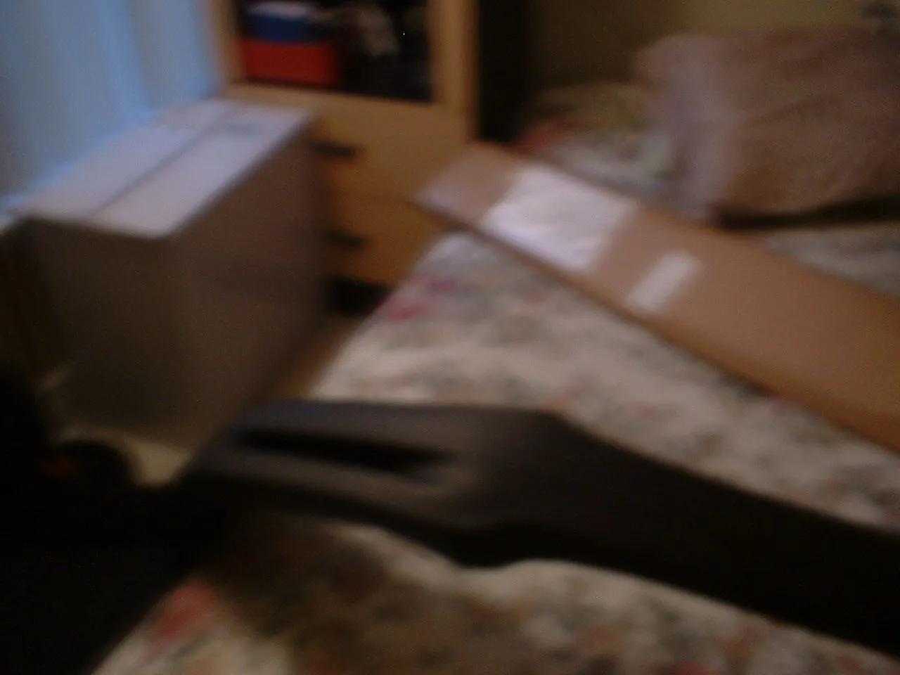 DSCF0028.webp