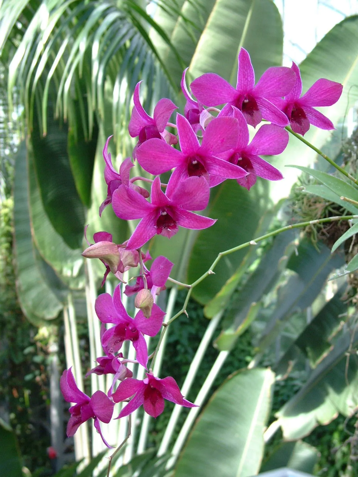 DSCF0136.webp