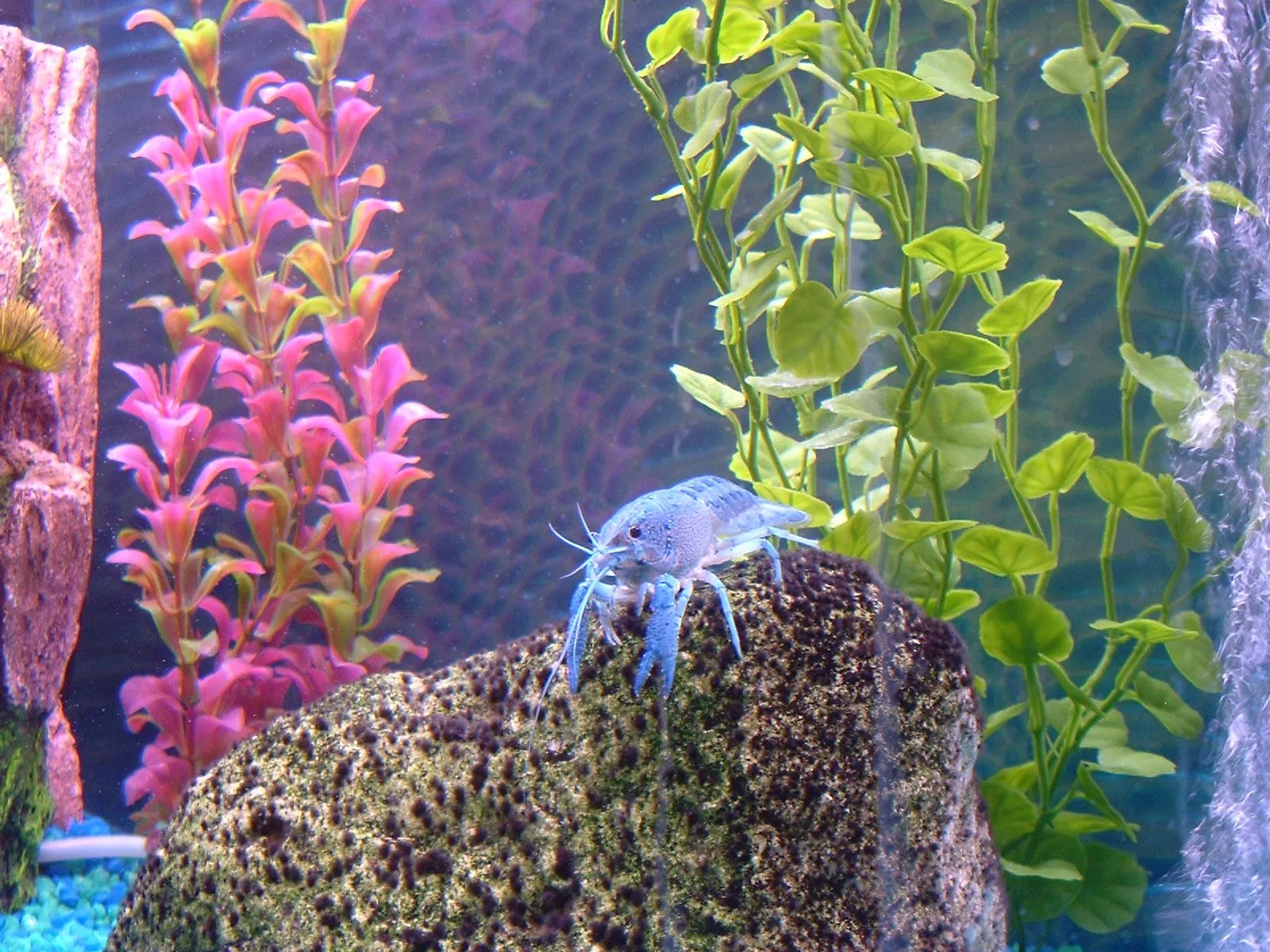 DSCF0210.webp