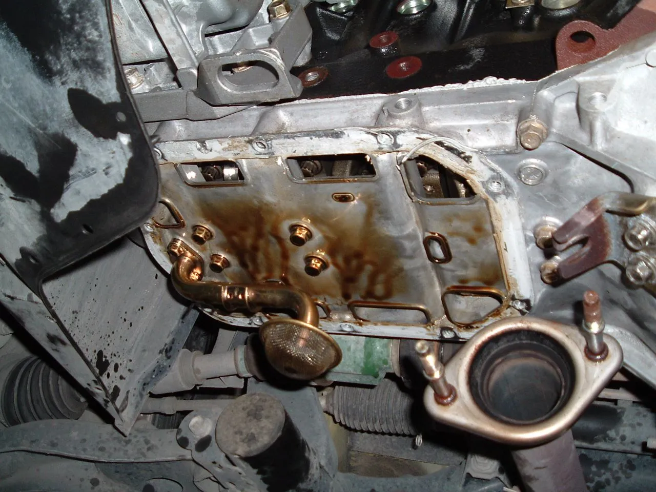 DSCF0216.webp
