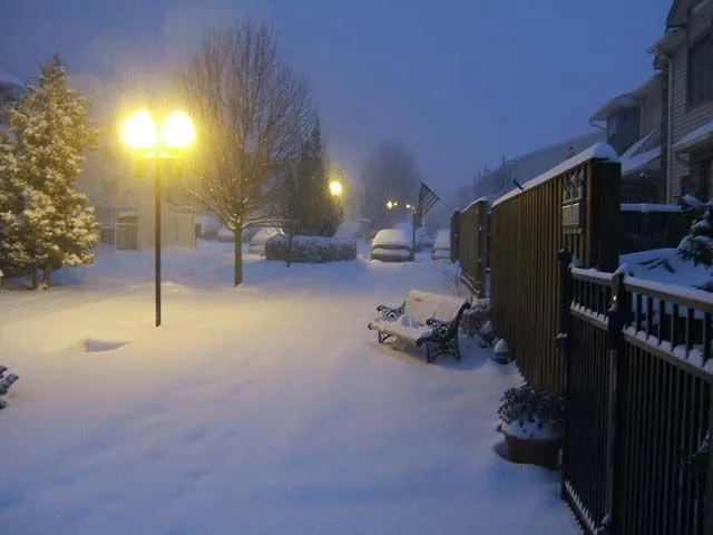 DSCF0273.webp