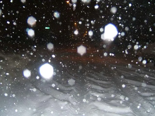 DSCF0288.webp