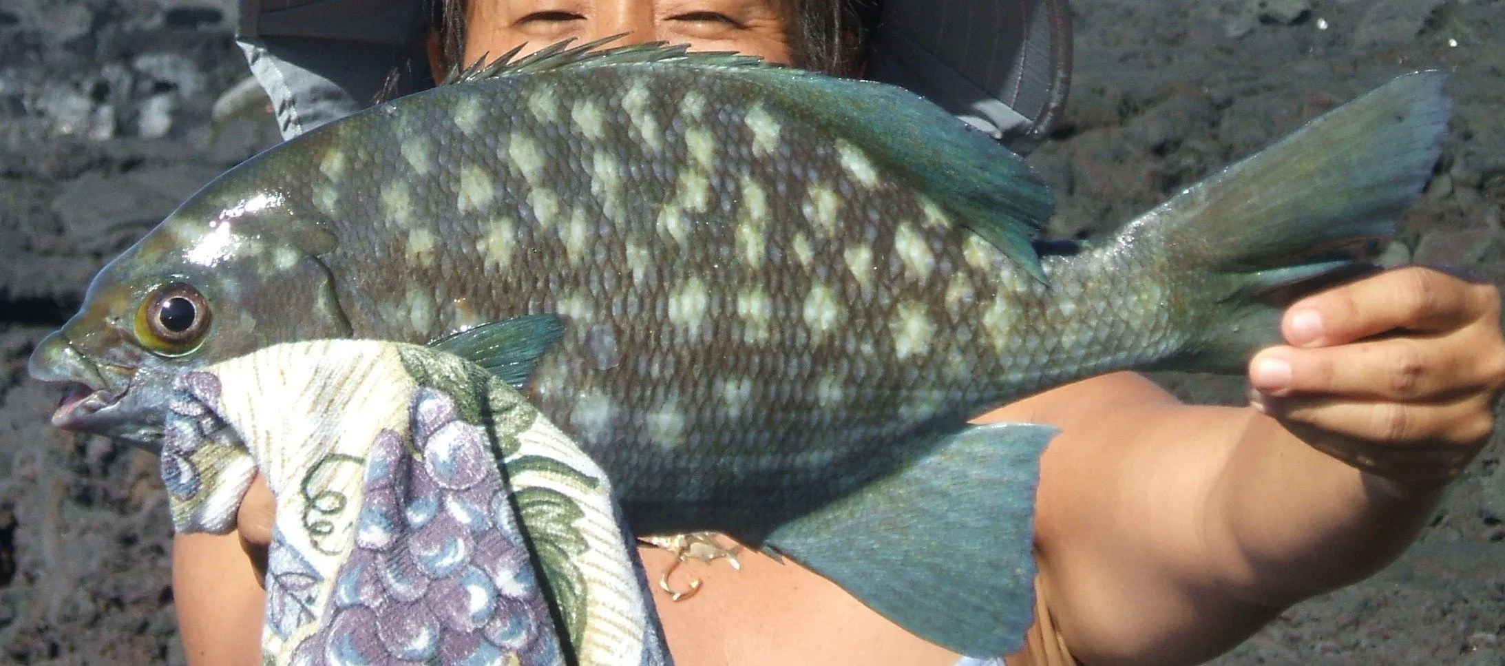 DSCF0365.webp