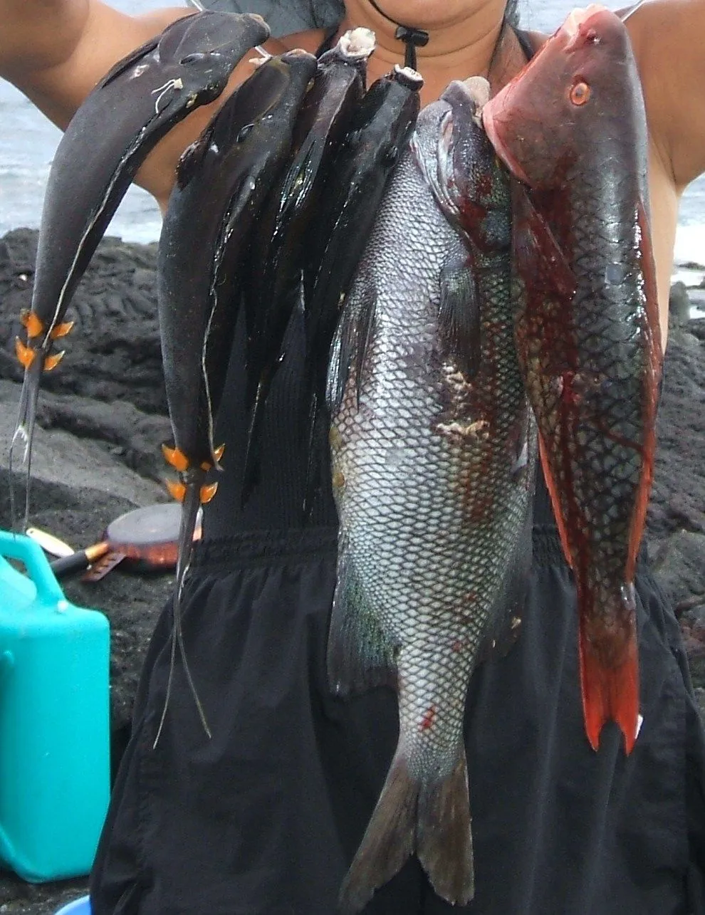 DSCF0366.webp
