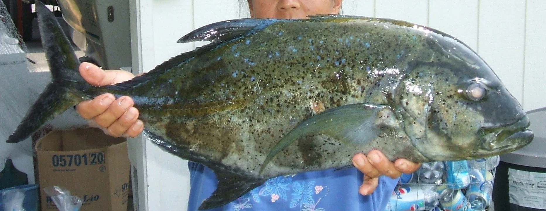 DSCF0370.webp