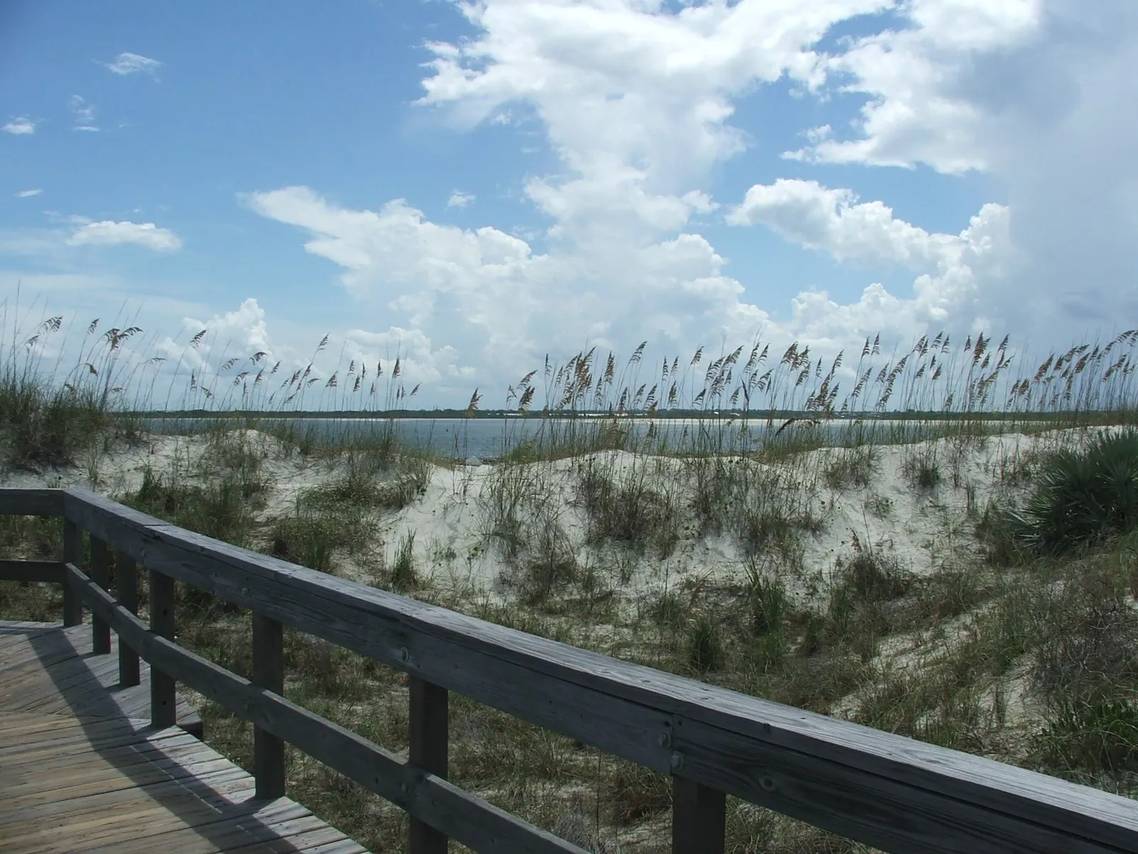 DSCF0633.webp