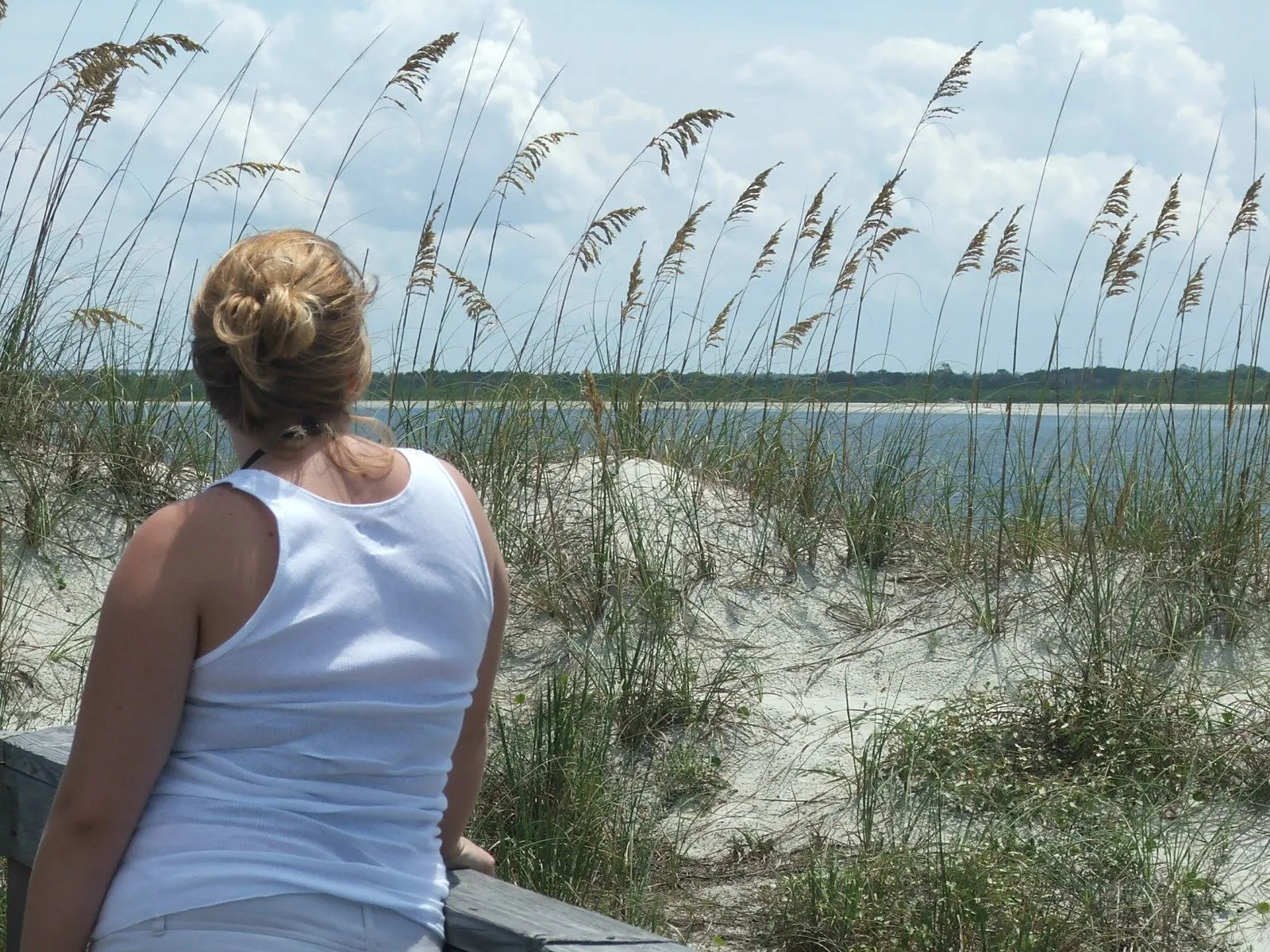 DSCF0639.webp