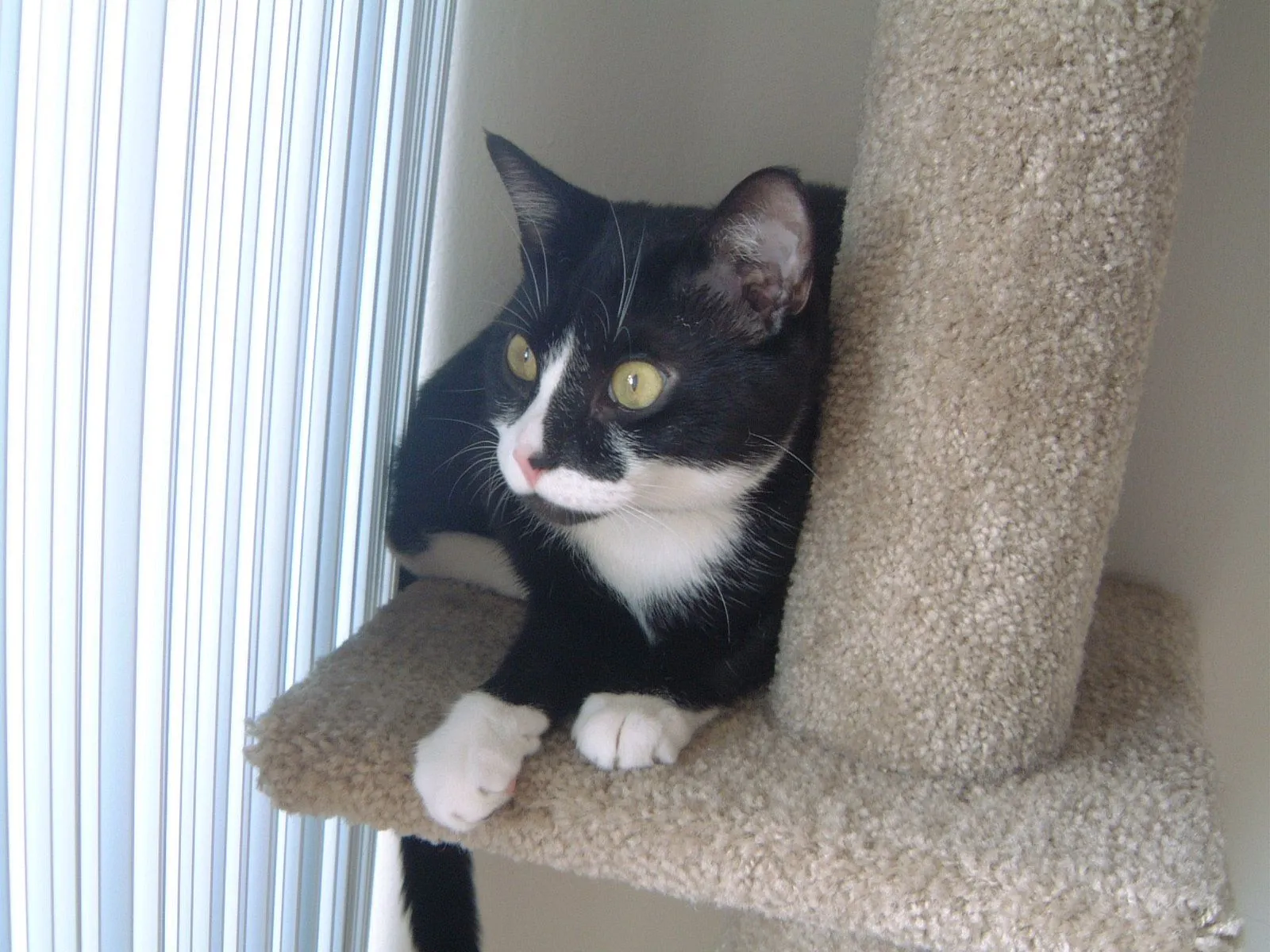 DSCF0945.webp