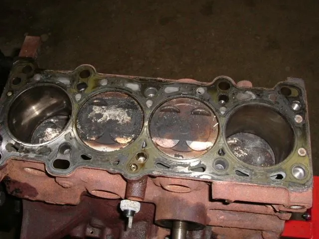 DSCF0973.webp