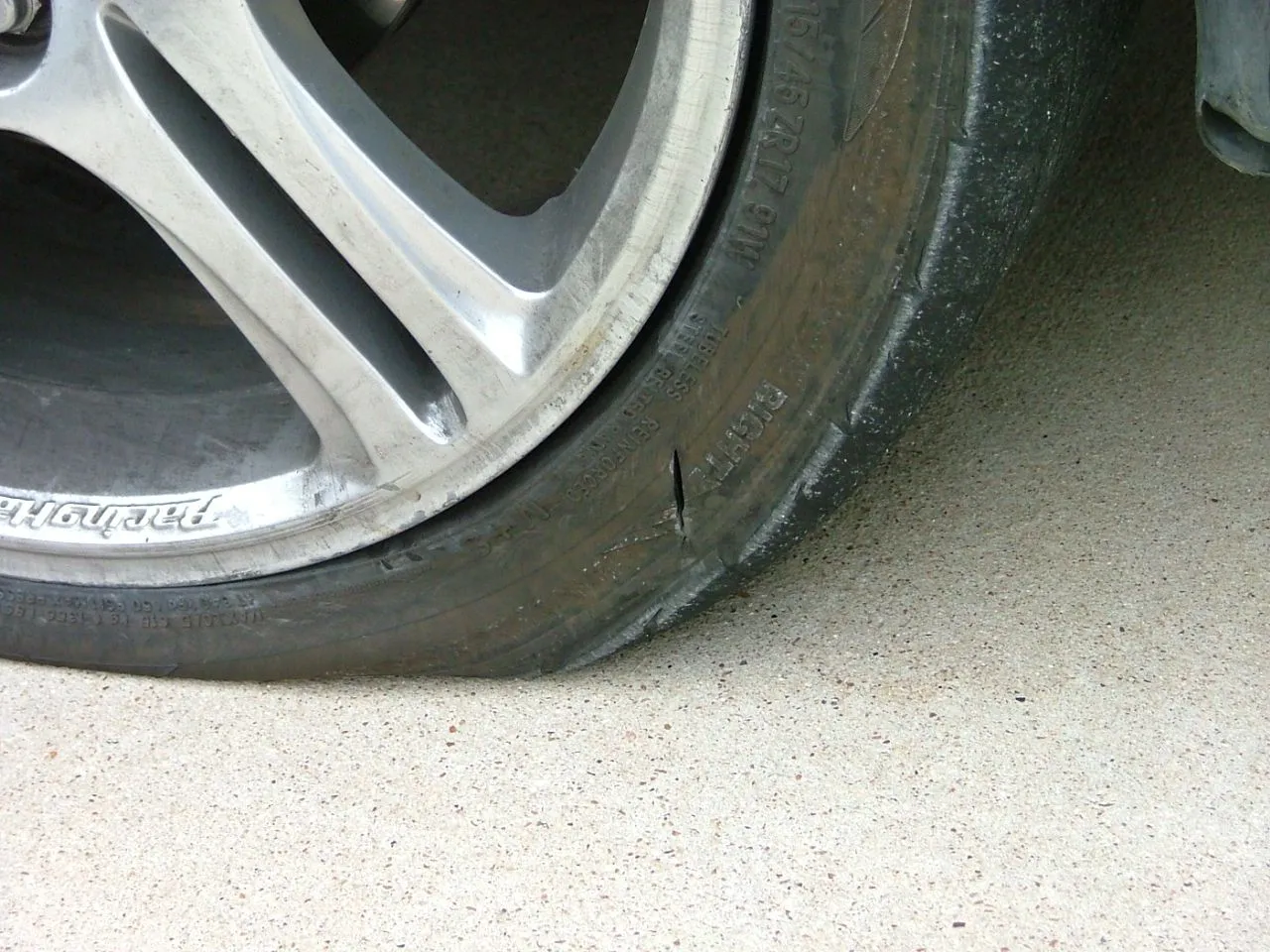 DSCF1281.webp