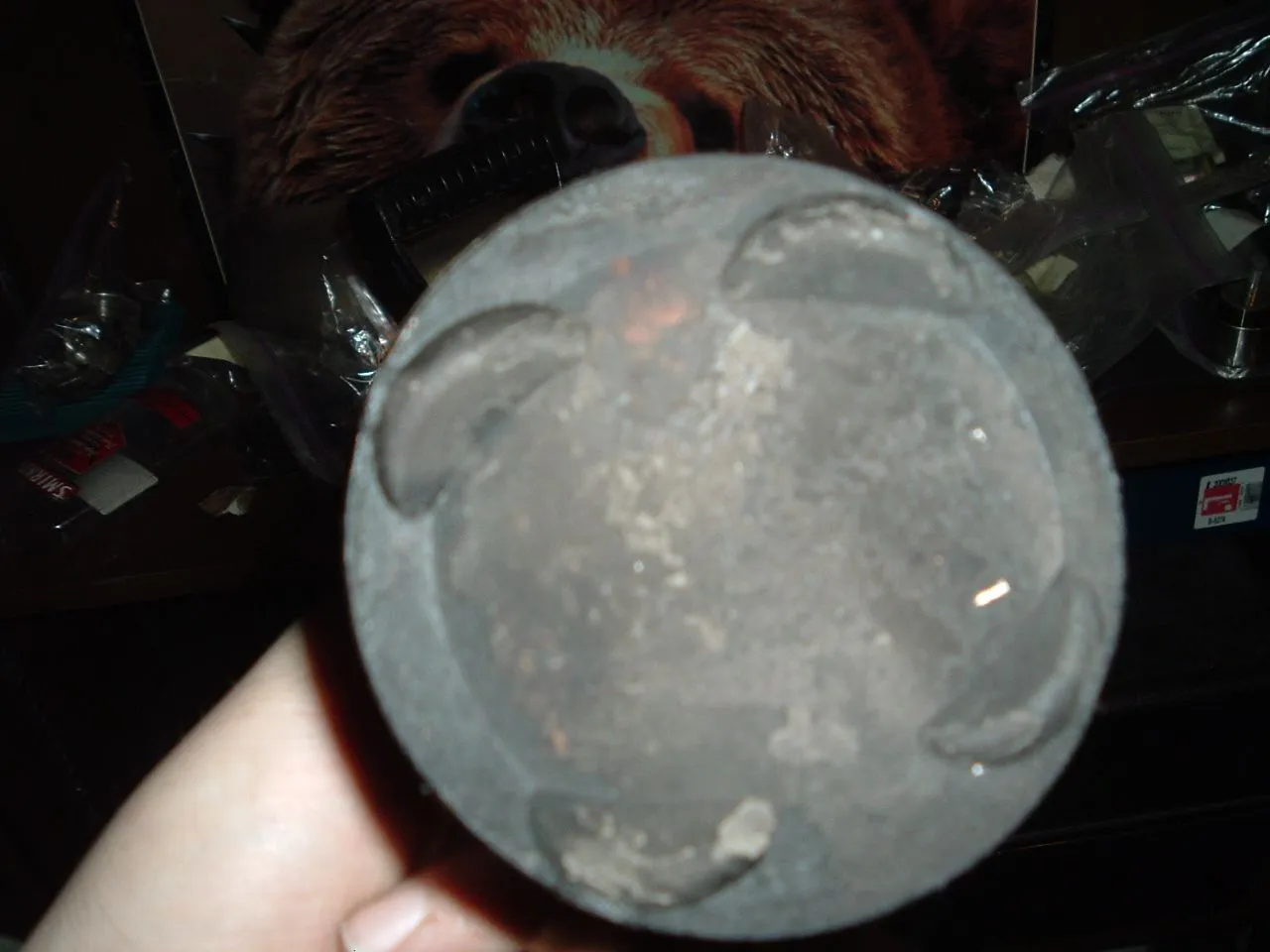 DSCF1316.JPG