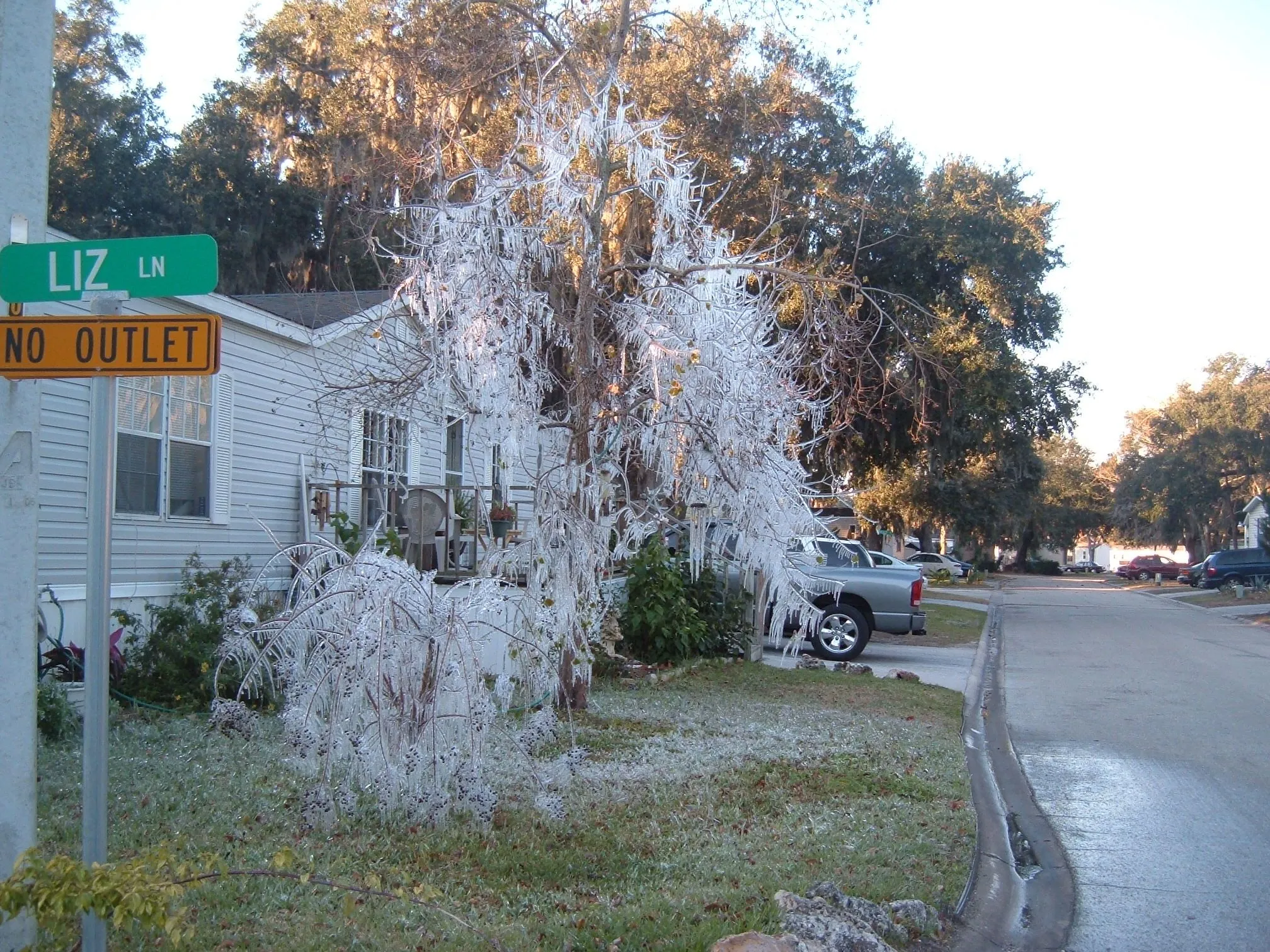 DSCF1562.webp