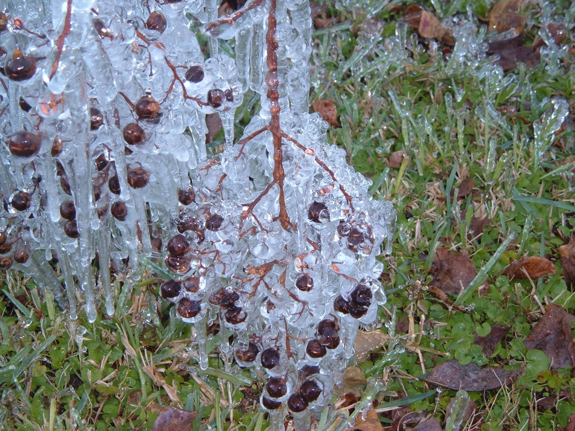 DSCF1563.webp