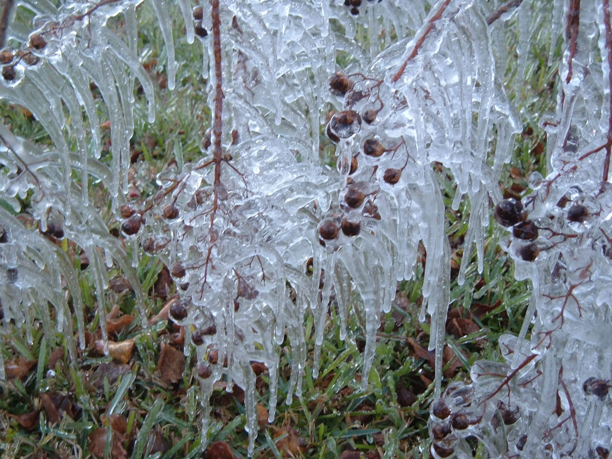 DSCF1564.webp