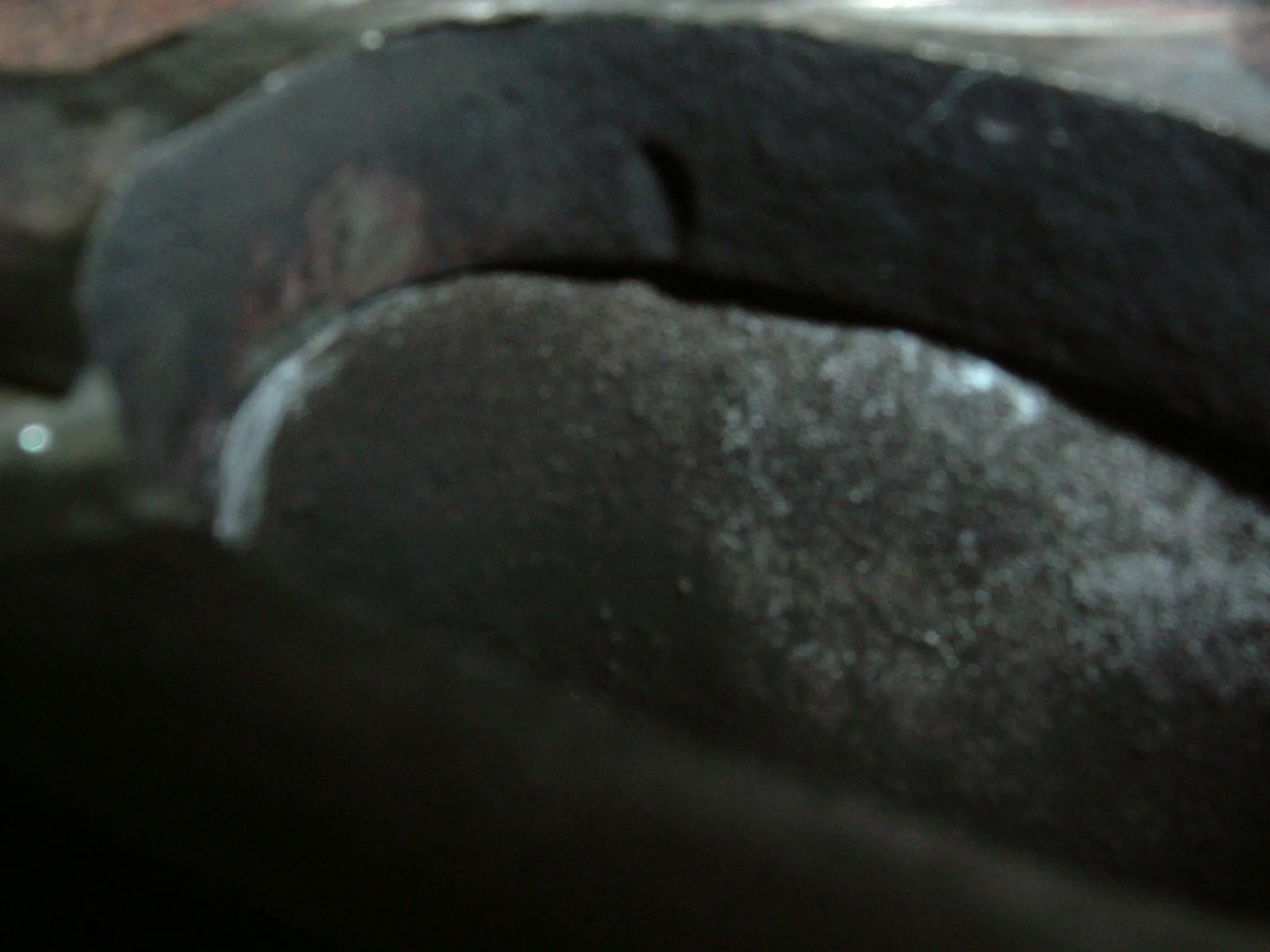 DSCF1575.webp