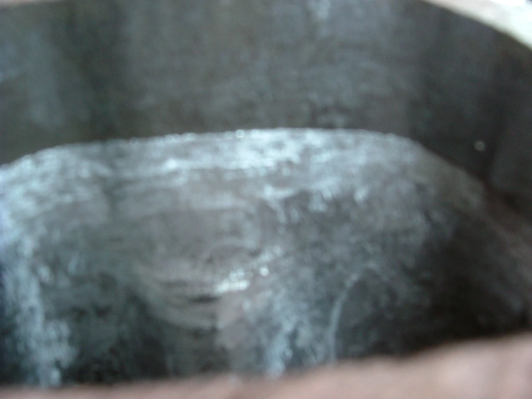 DSCF1580.webp