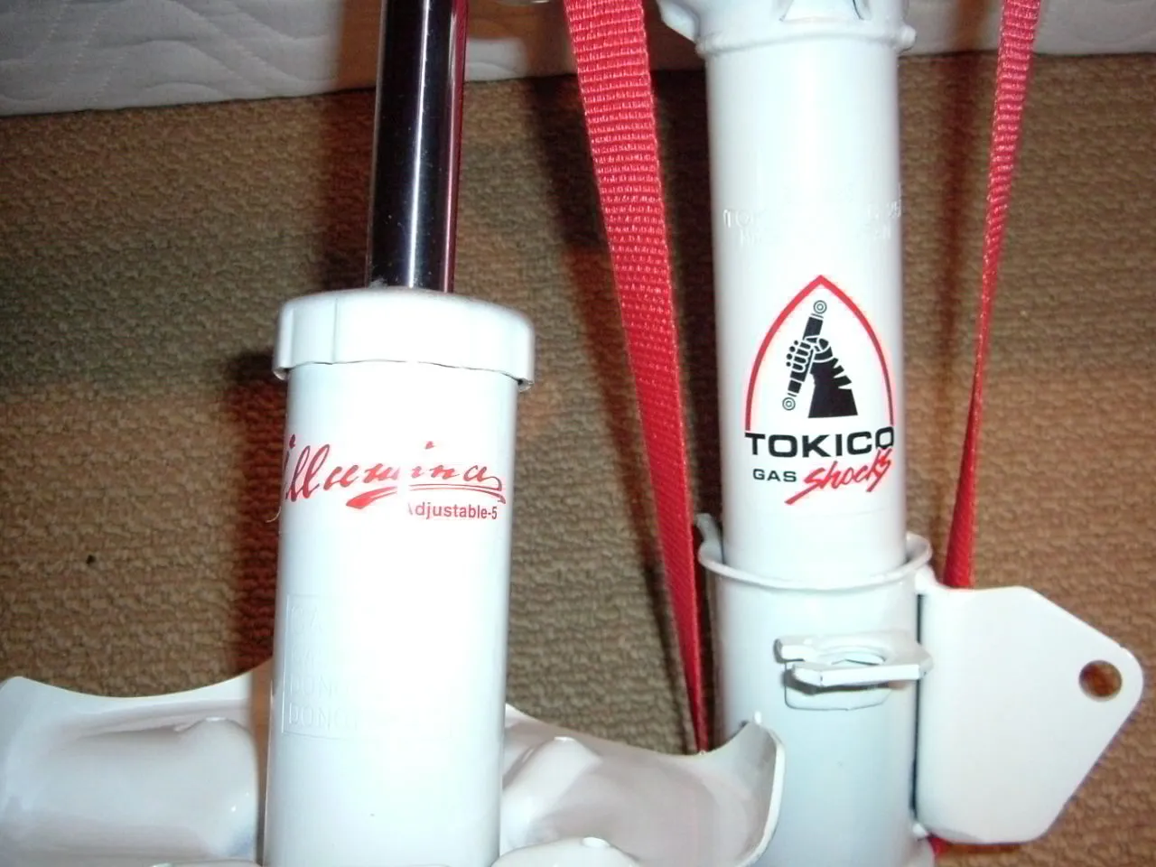 DSCF1609.webp