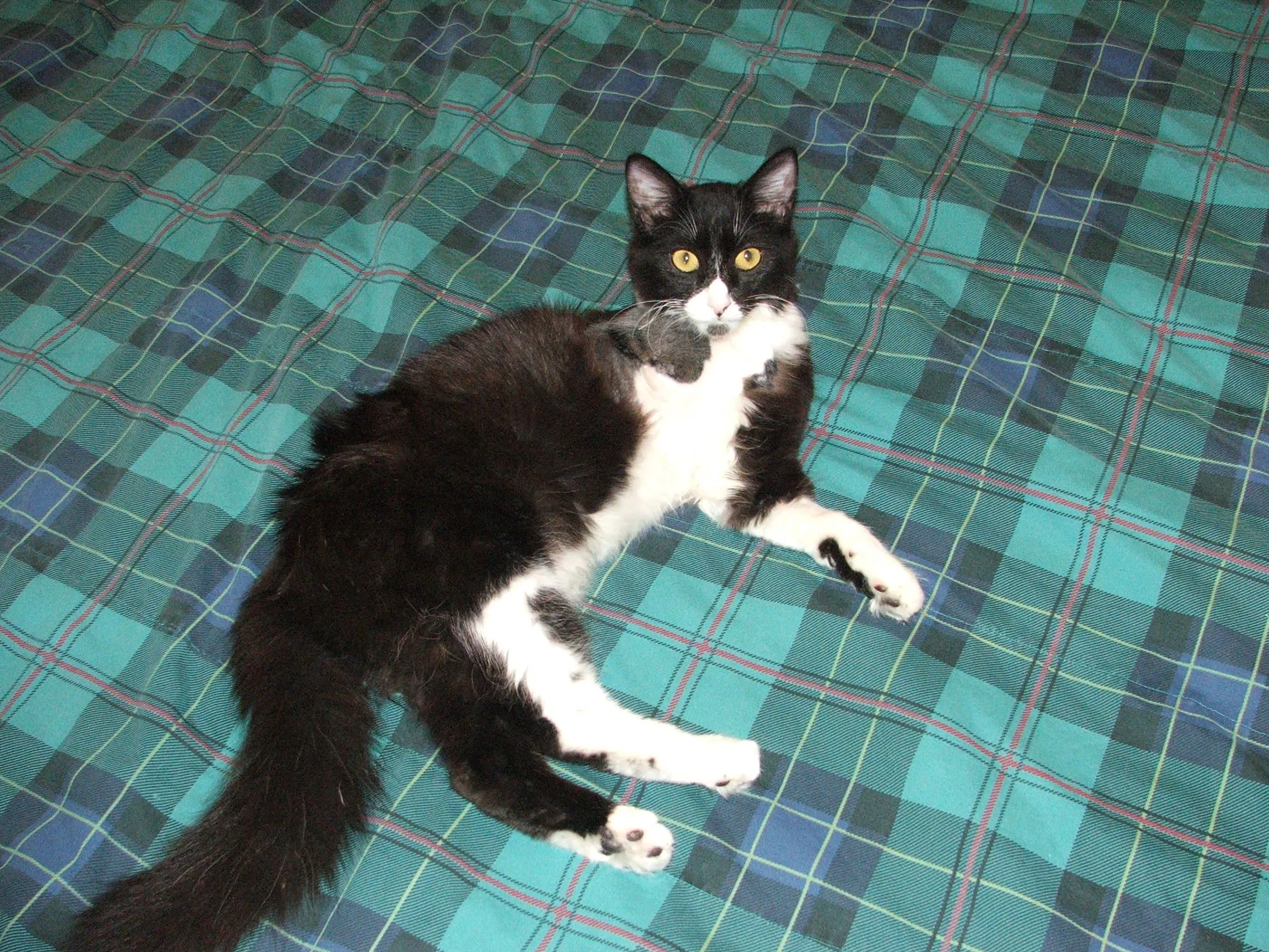 DSCF1686.JPG