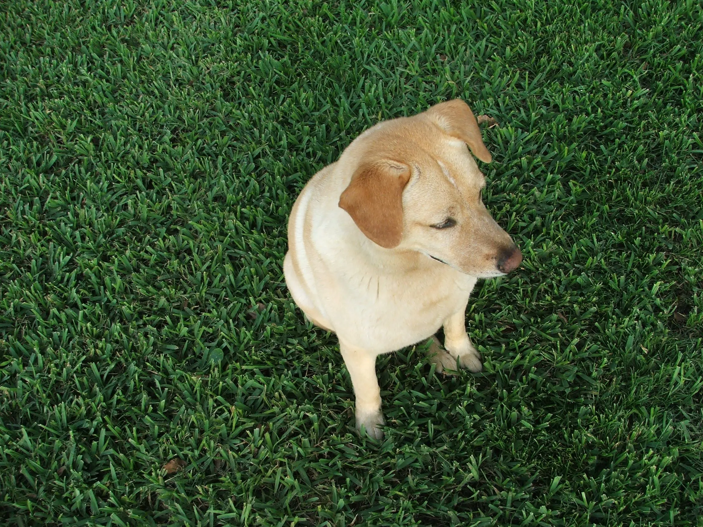 DSCF1790.webp