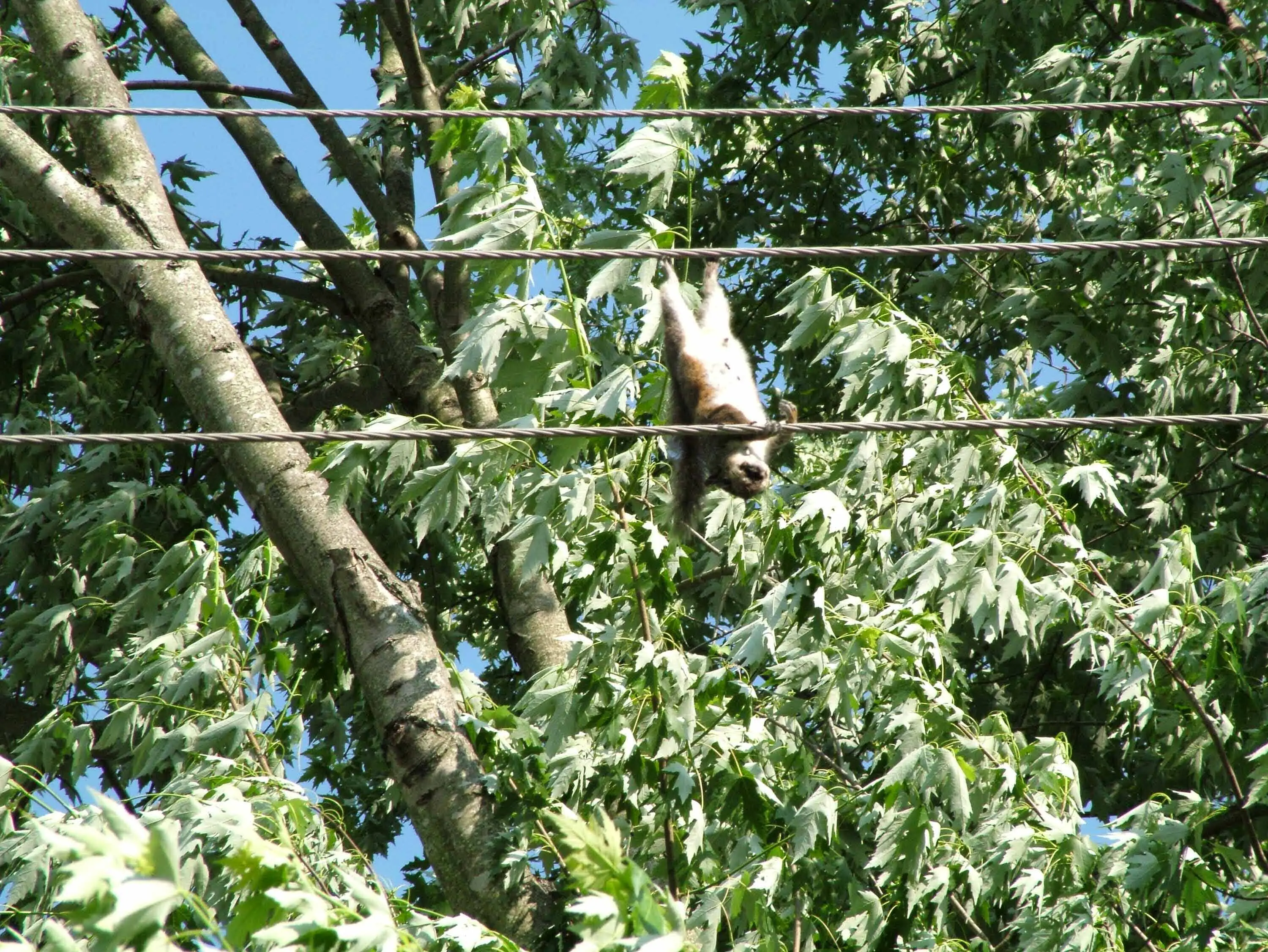 DSCF1860.webp