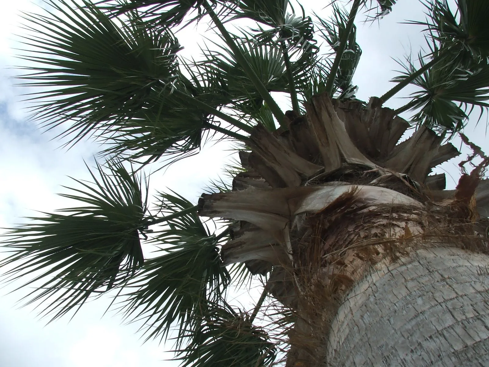 DSCF1959.webp