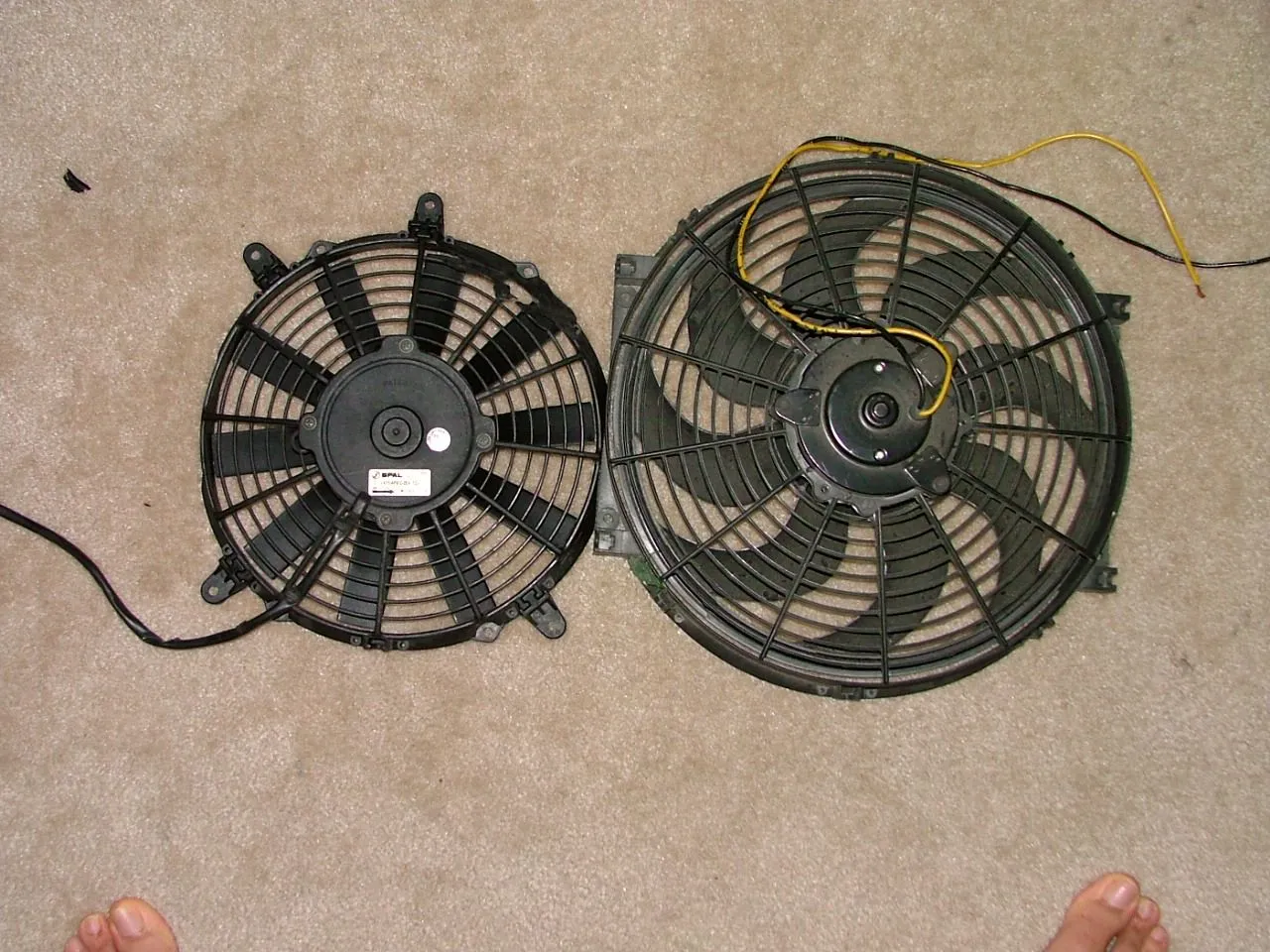 DSCF2080.webp