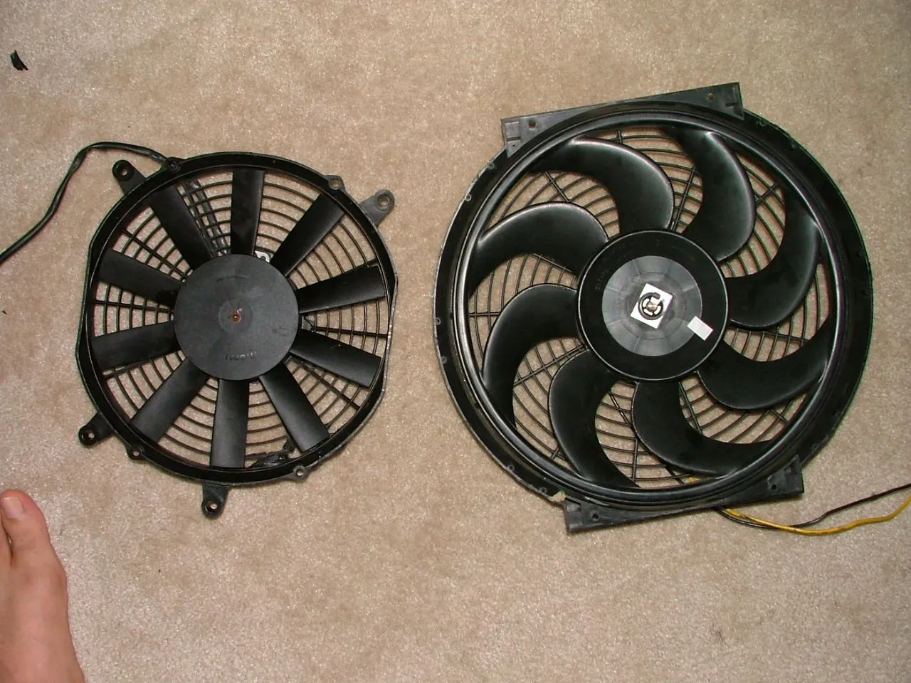 DSCF2086.webp