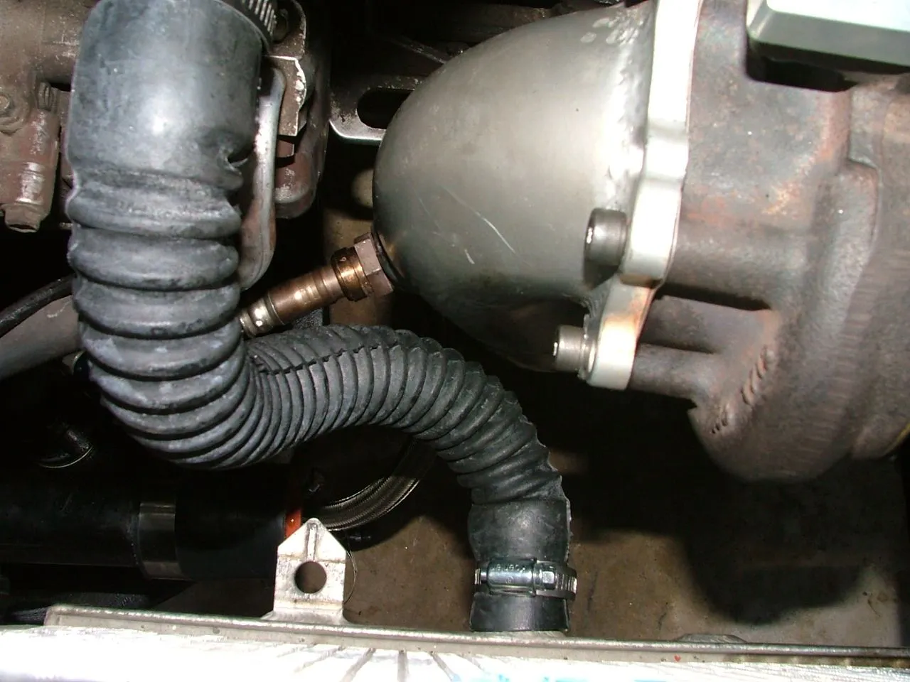 DSCF2176.webp