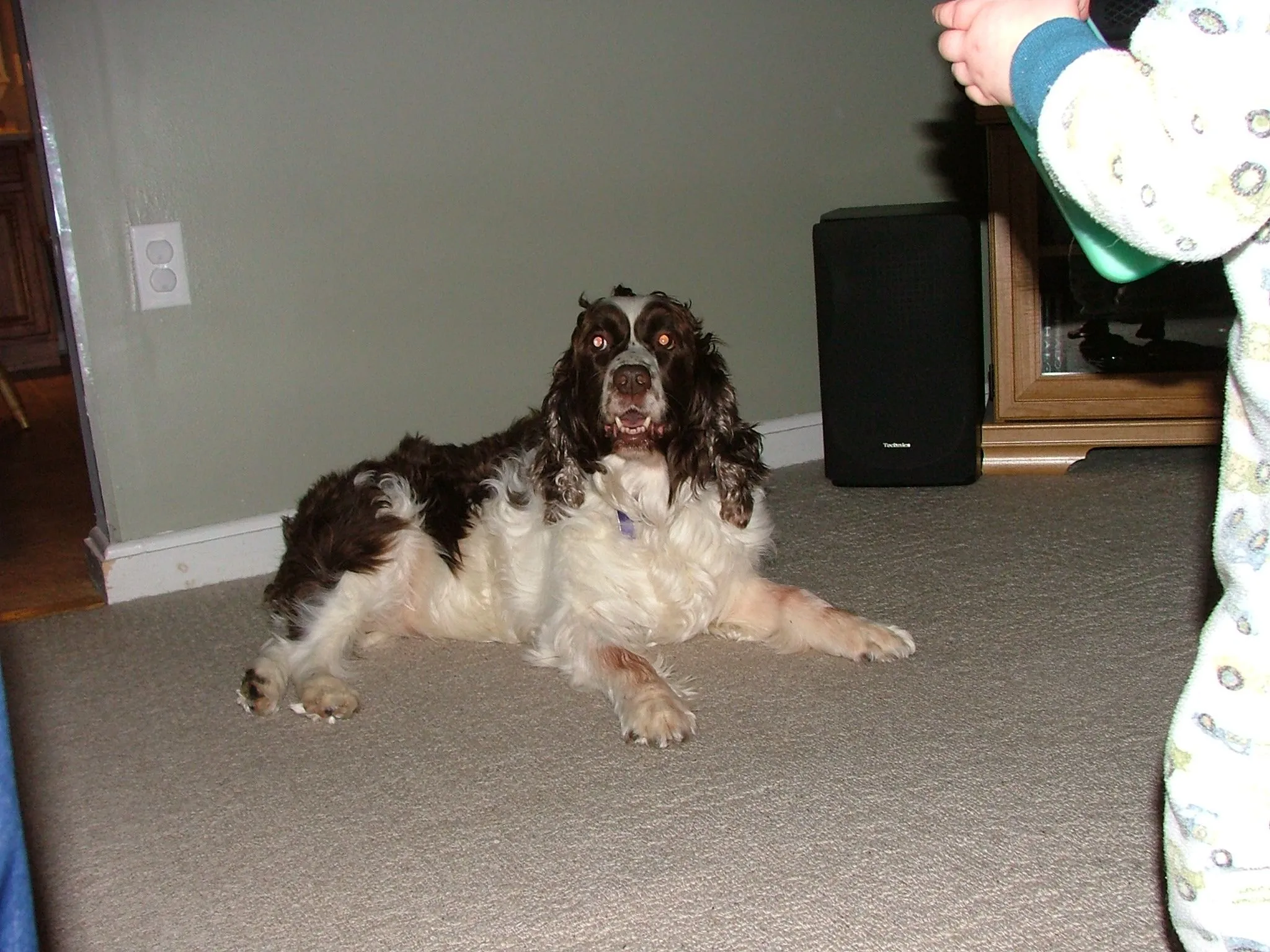 DSCF2518.webp
