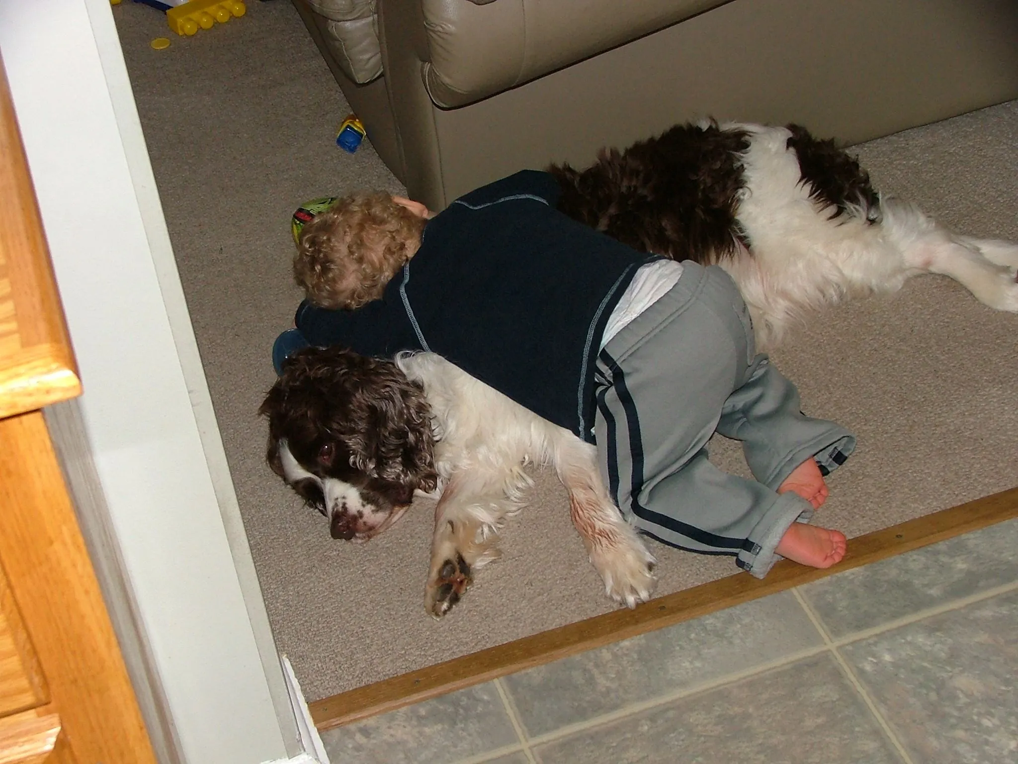 DSCF2527.webp