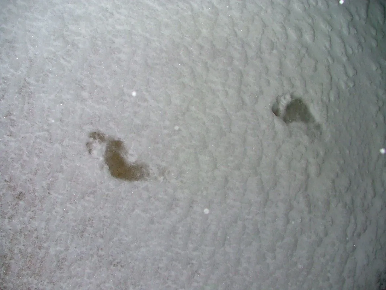 DSCF7423.webp