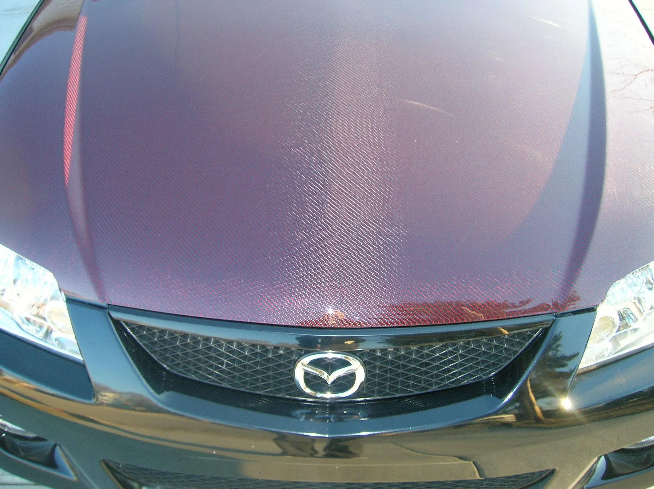 DSCN0155.JPG