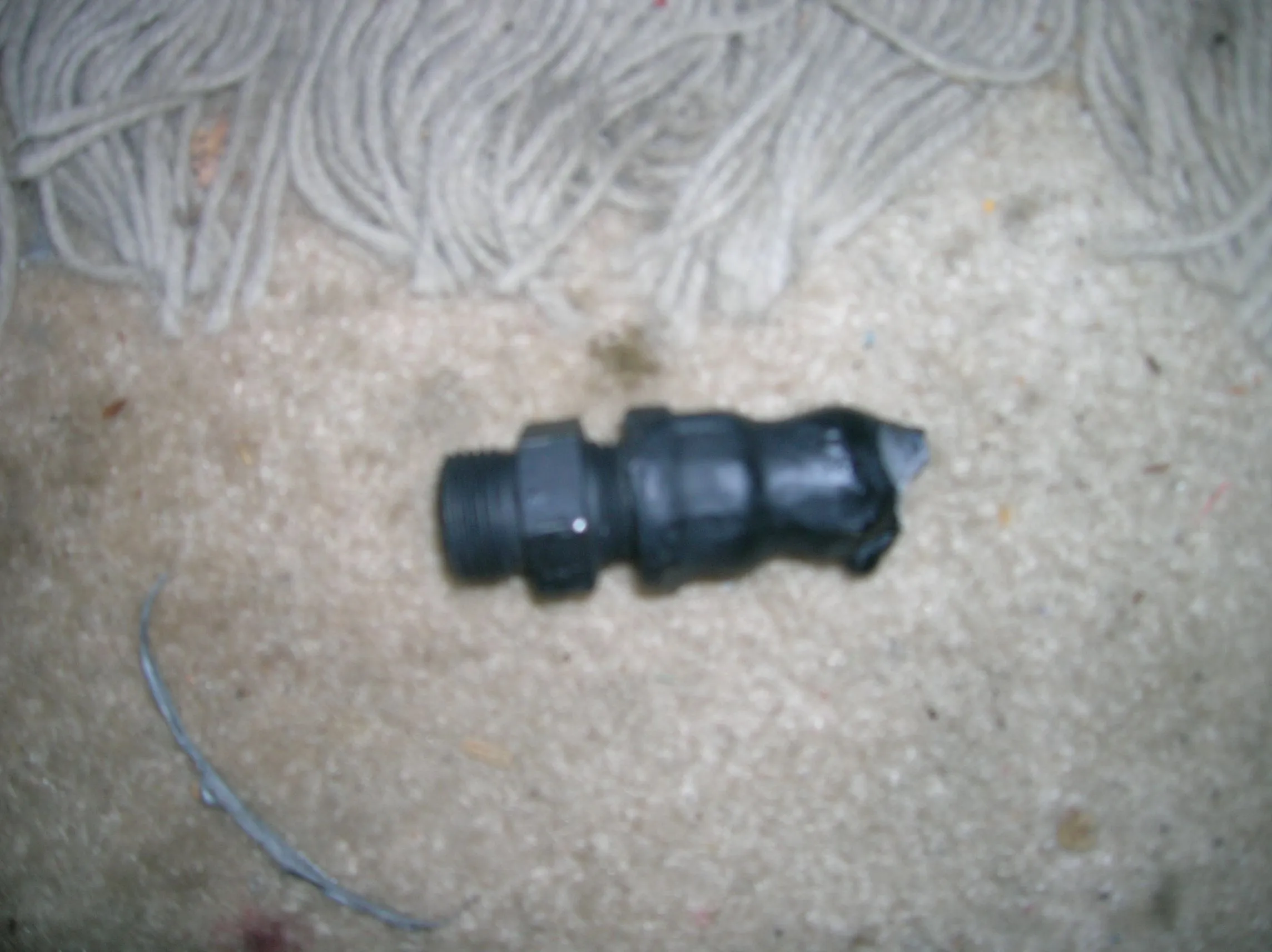 DSCN0192.webp
