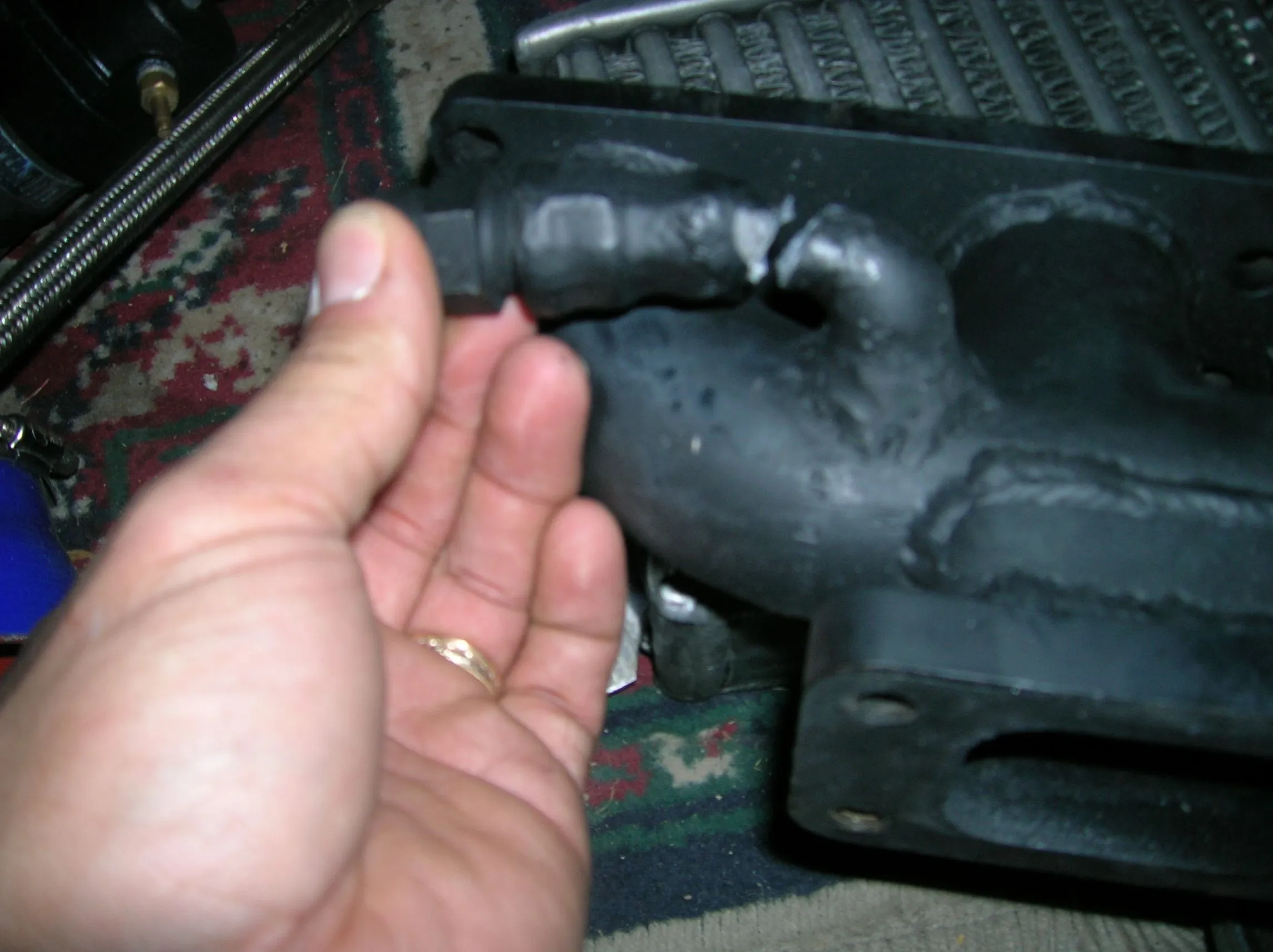 DSCN0193.webp