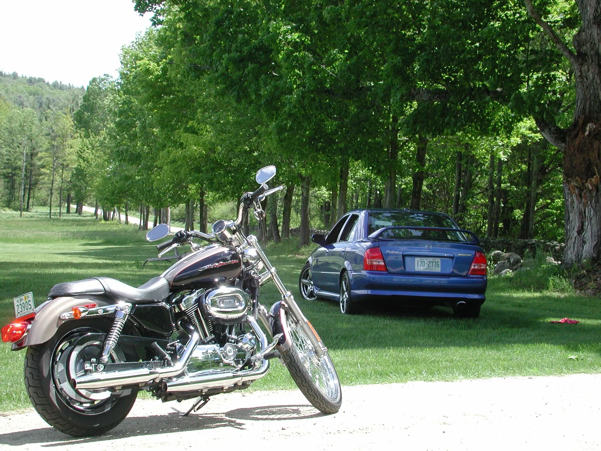 Dscn0390.webp