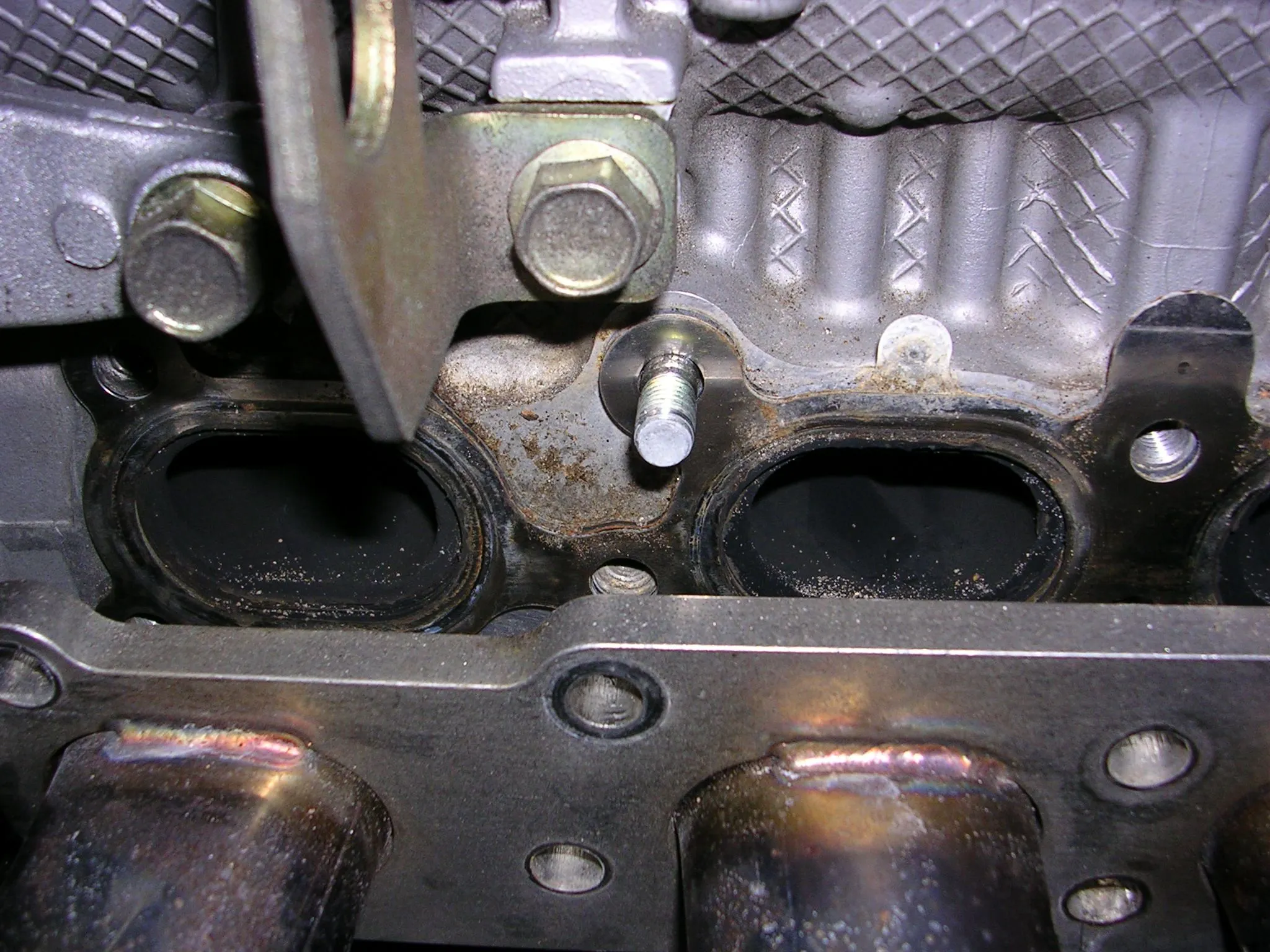 DSCN0433.webp