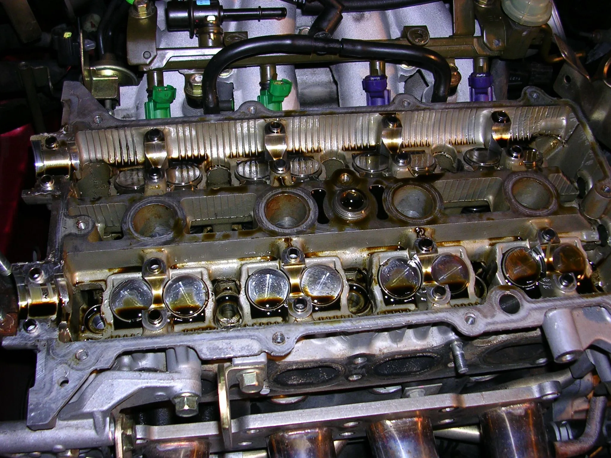 DSCN0438.webp