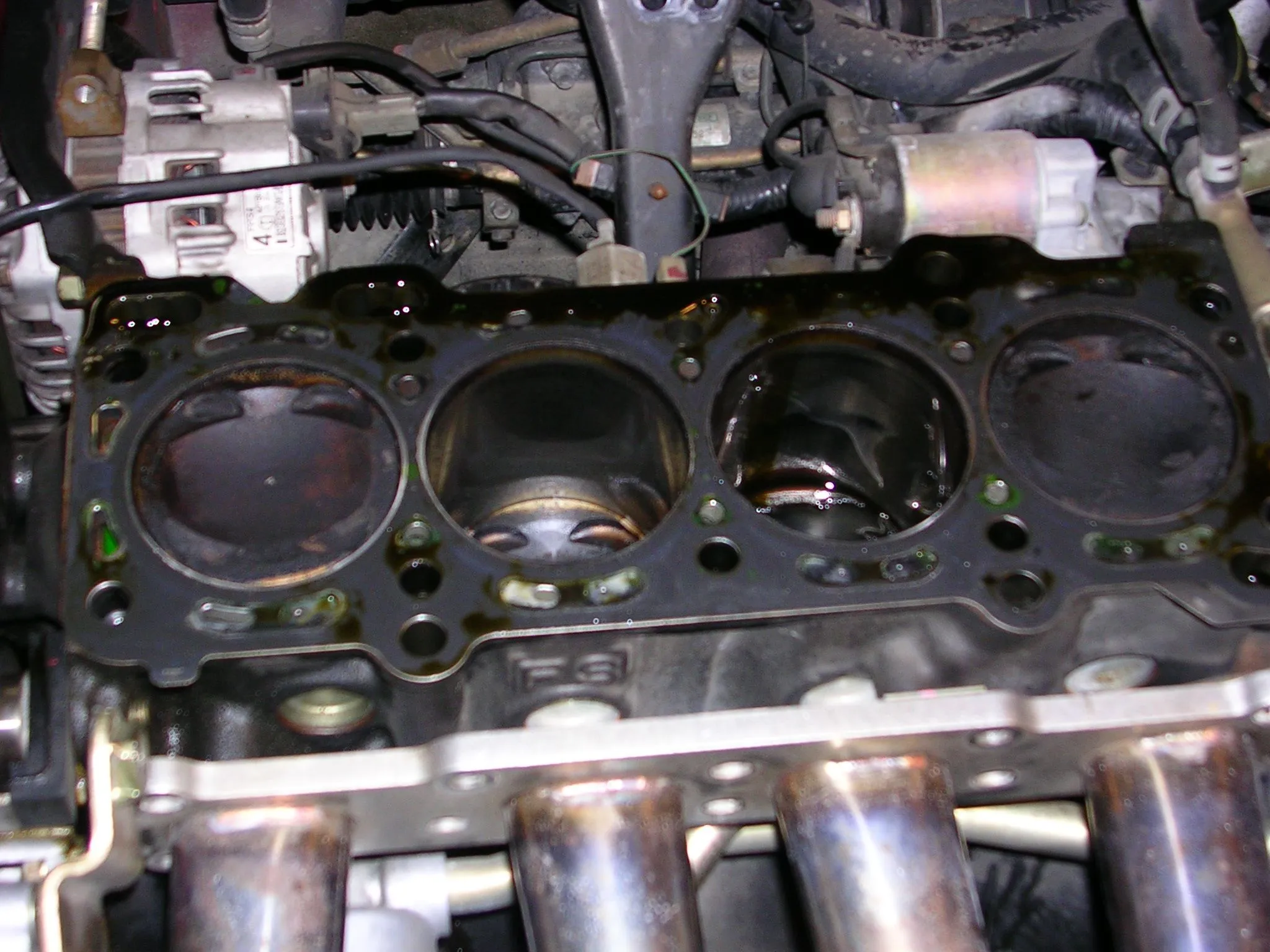 DSCN0442.webp