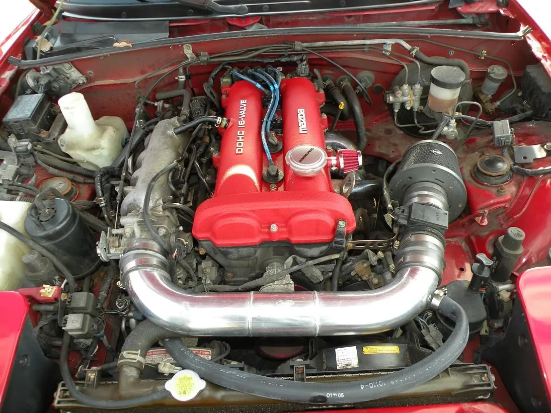 DSCN0550.webp