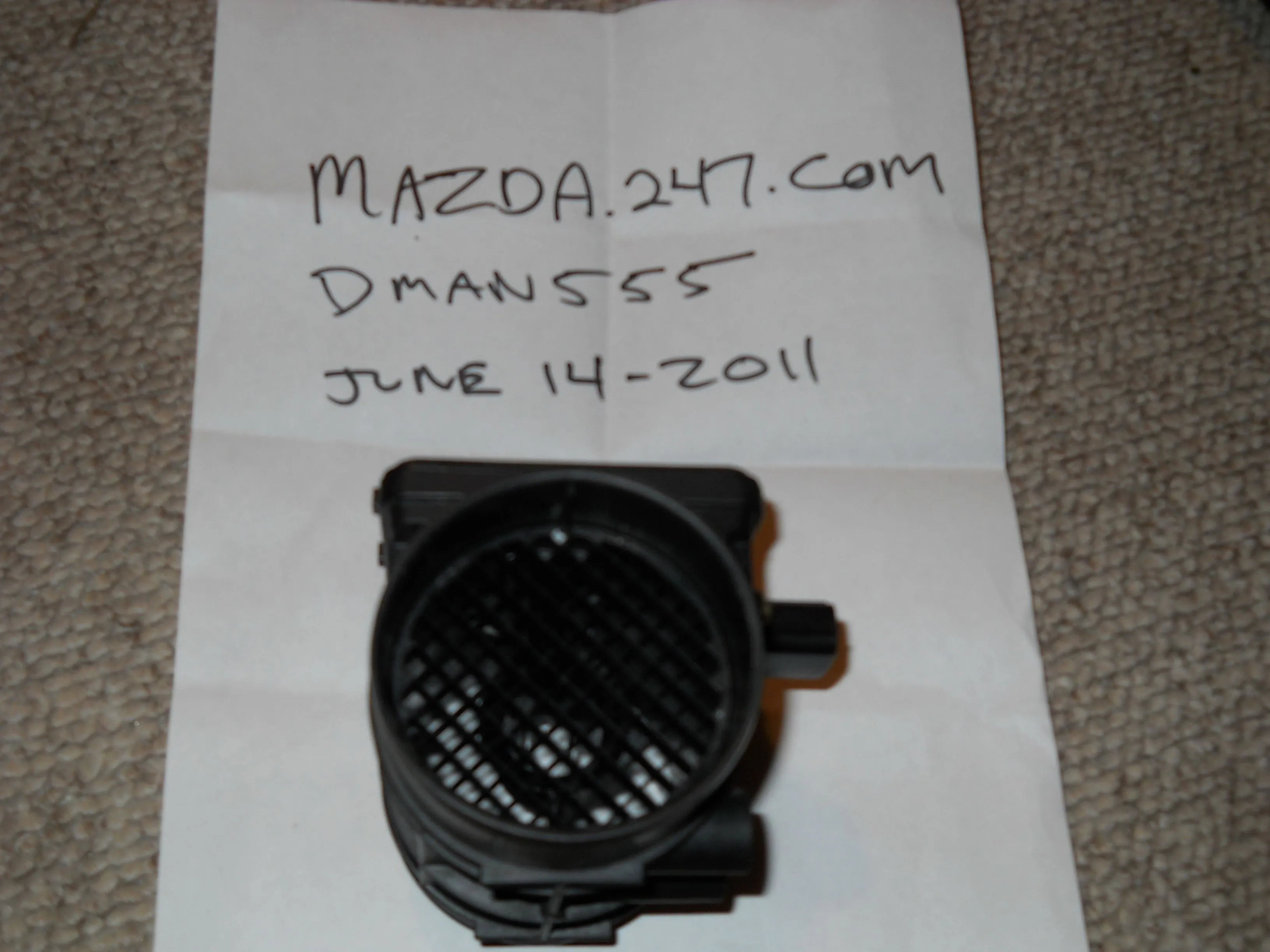 DSCN0559.webp