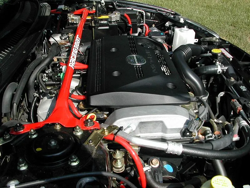 DSCN0599.webp