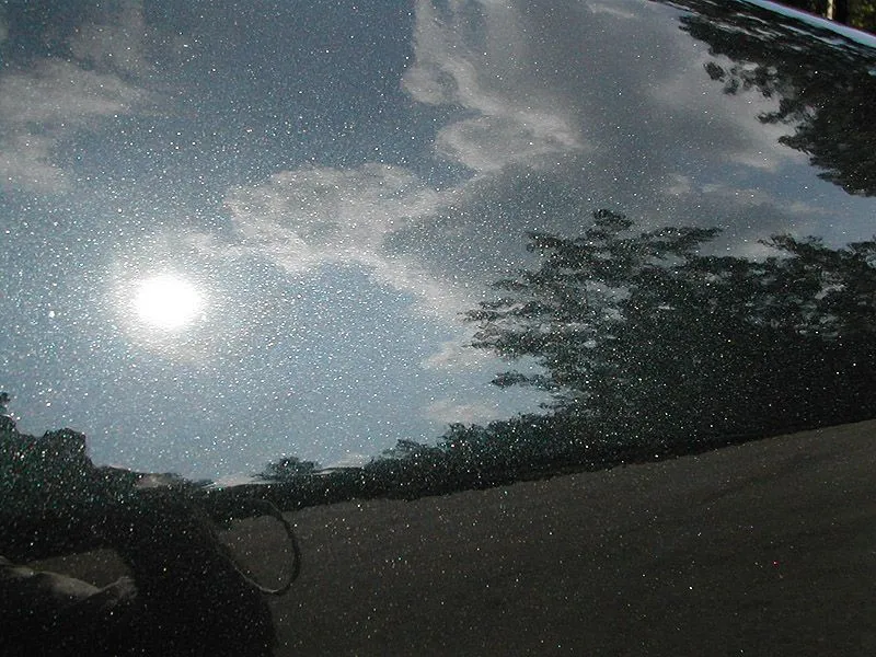 DSCN0601.webp